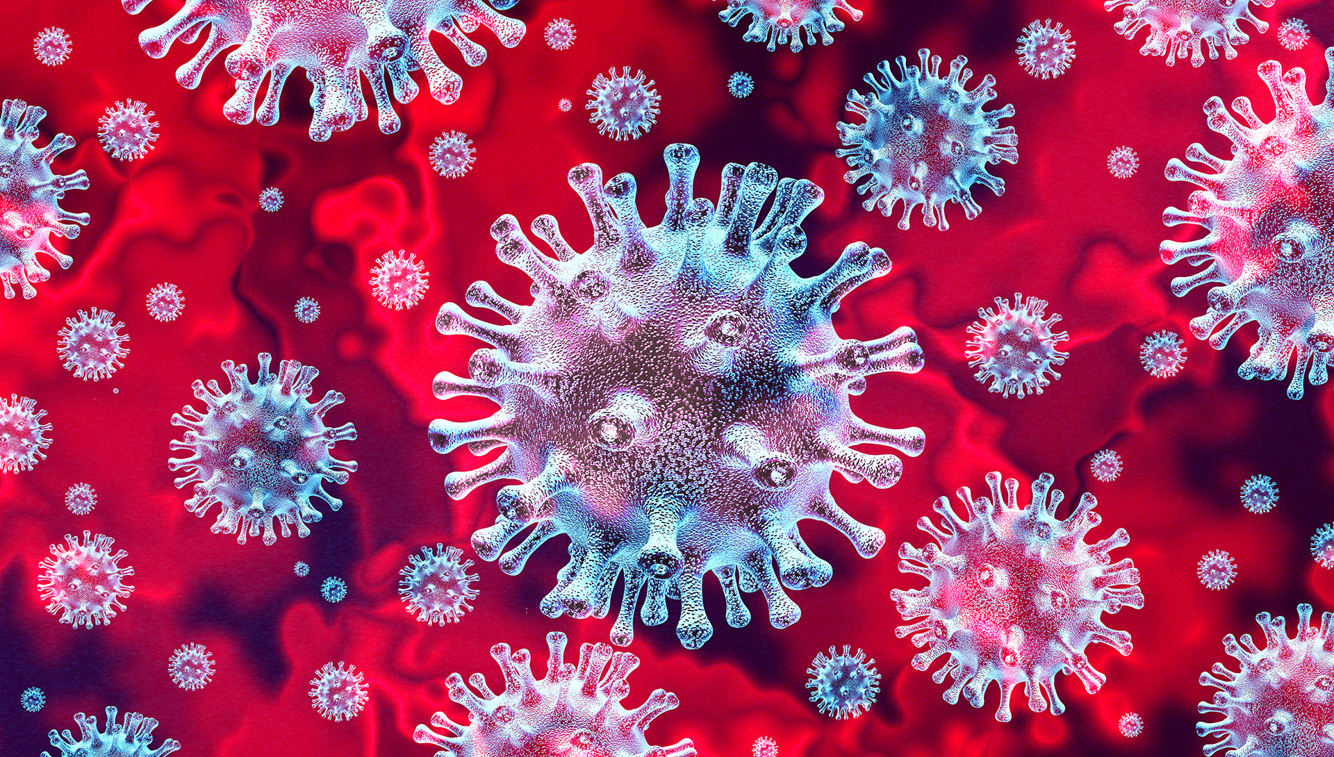 Closeup of Coronavirus Photo