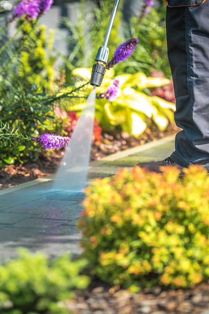 Pressure Washing Pathway